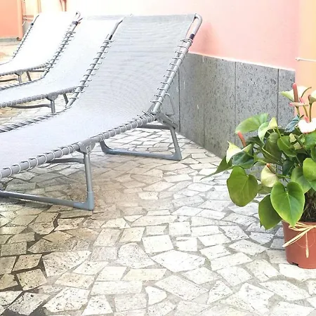 Il Maggiolino *