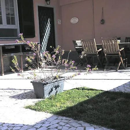 Il Maggiolino
